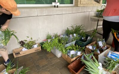 Calling All Gardeners…New and Experienced